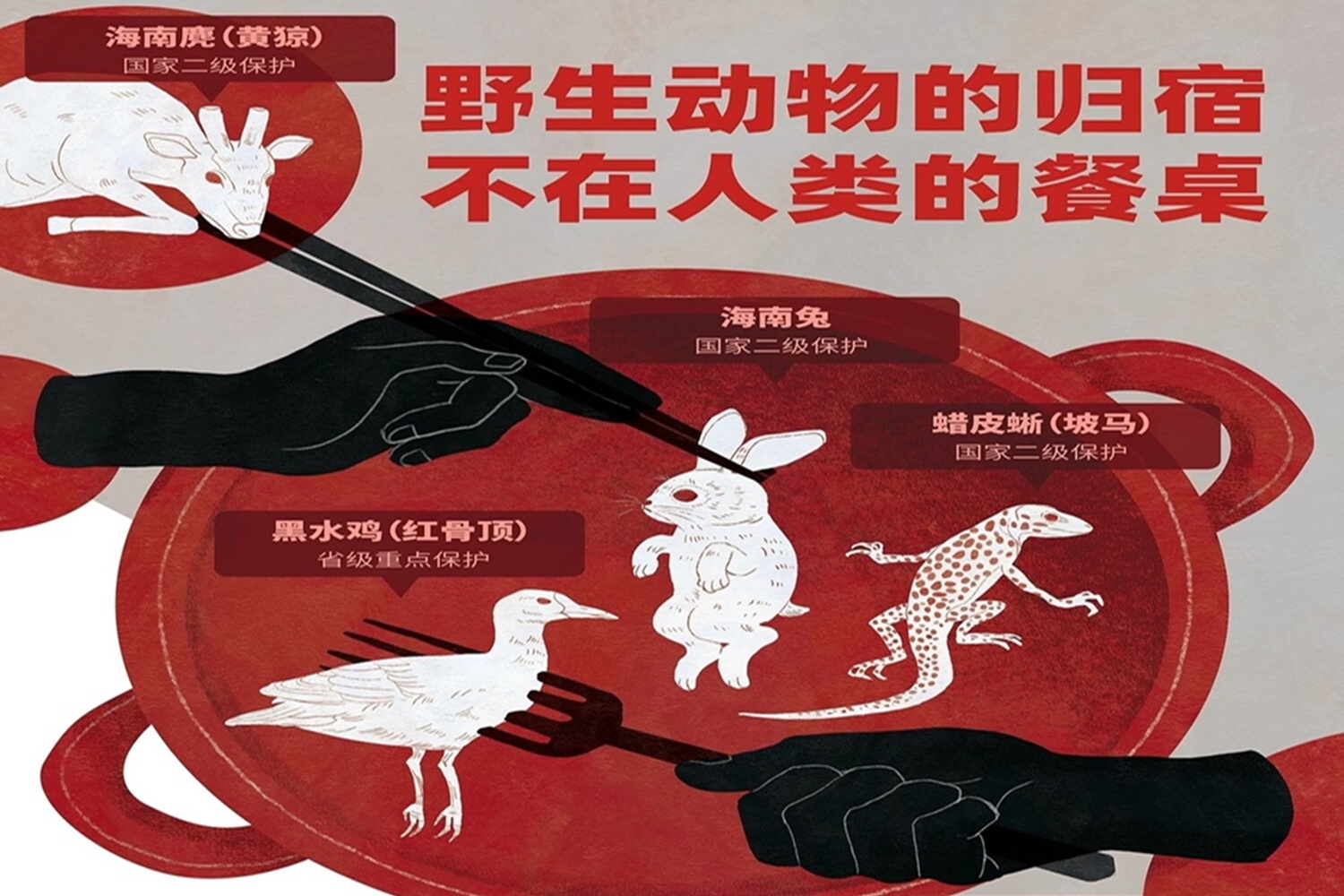 拒绝食用野味