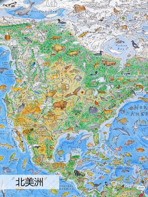 图标
